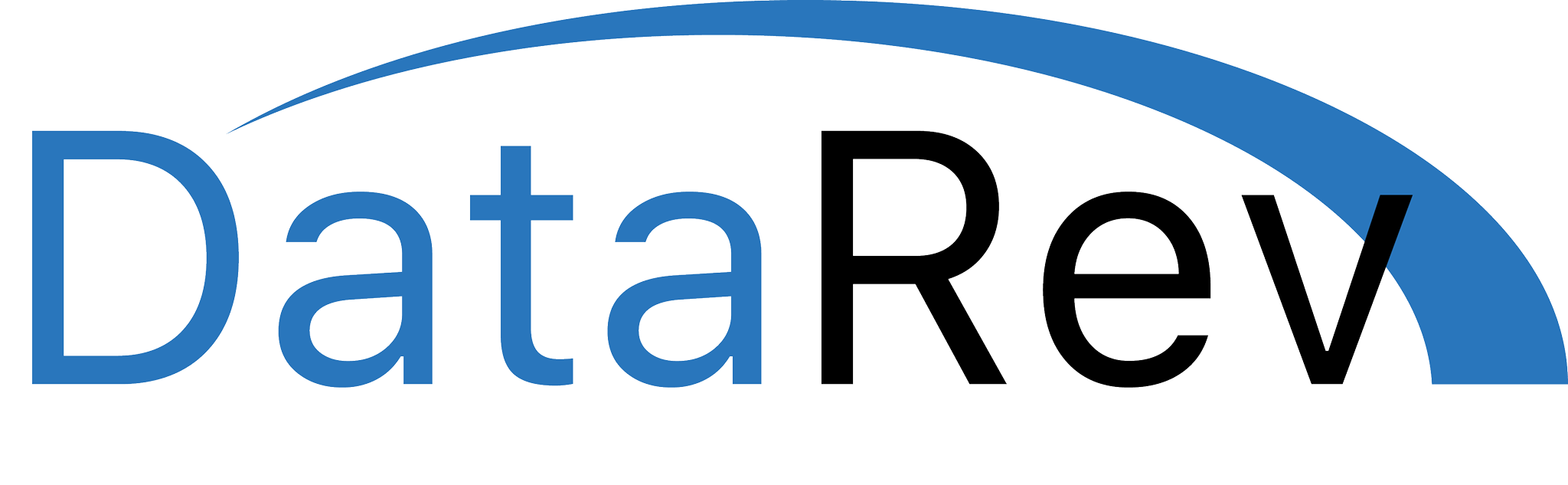 DataRev logo